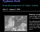 Typhoon Herb